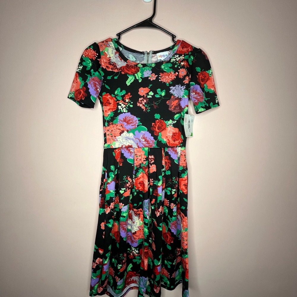 NWT LuLaRoe Amelia Dress